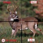 “It’s Like Bassmasters, Except With Deer…”