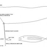 Are balloon's legal? (Source: texasfishingforum.com)