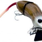 A possum bait