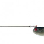 World's biggest buzzbait?