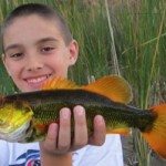 A Cheetos-colored bass!