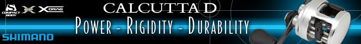 banner ad