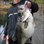 25lber