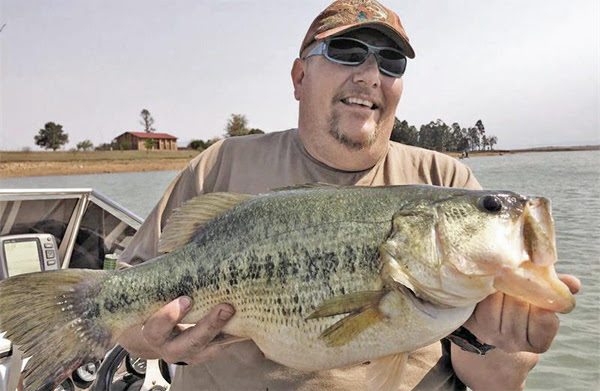 southafricanbass